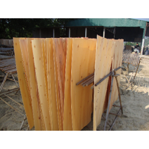 Sản phẩm gỗ rừng trồng 